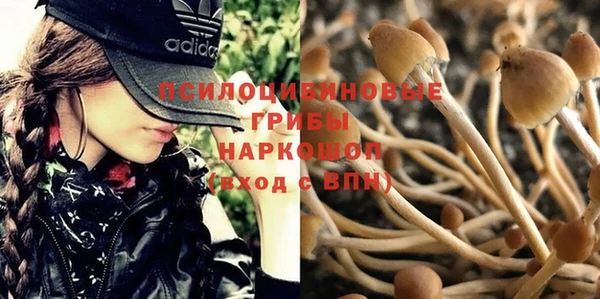 шишки Липки