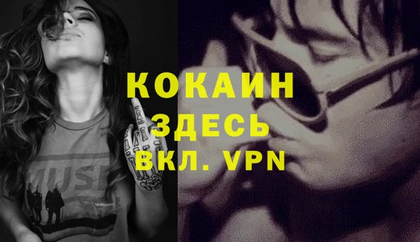 шишки Липки